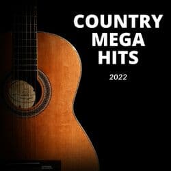 Country Girl (Shake It For Me)